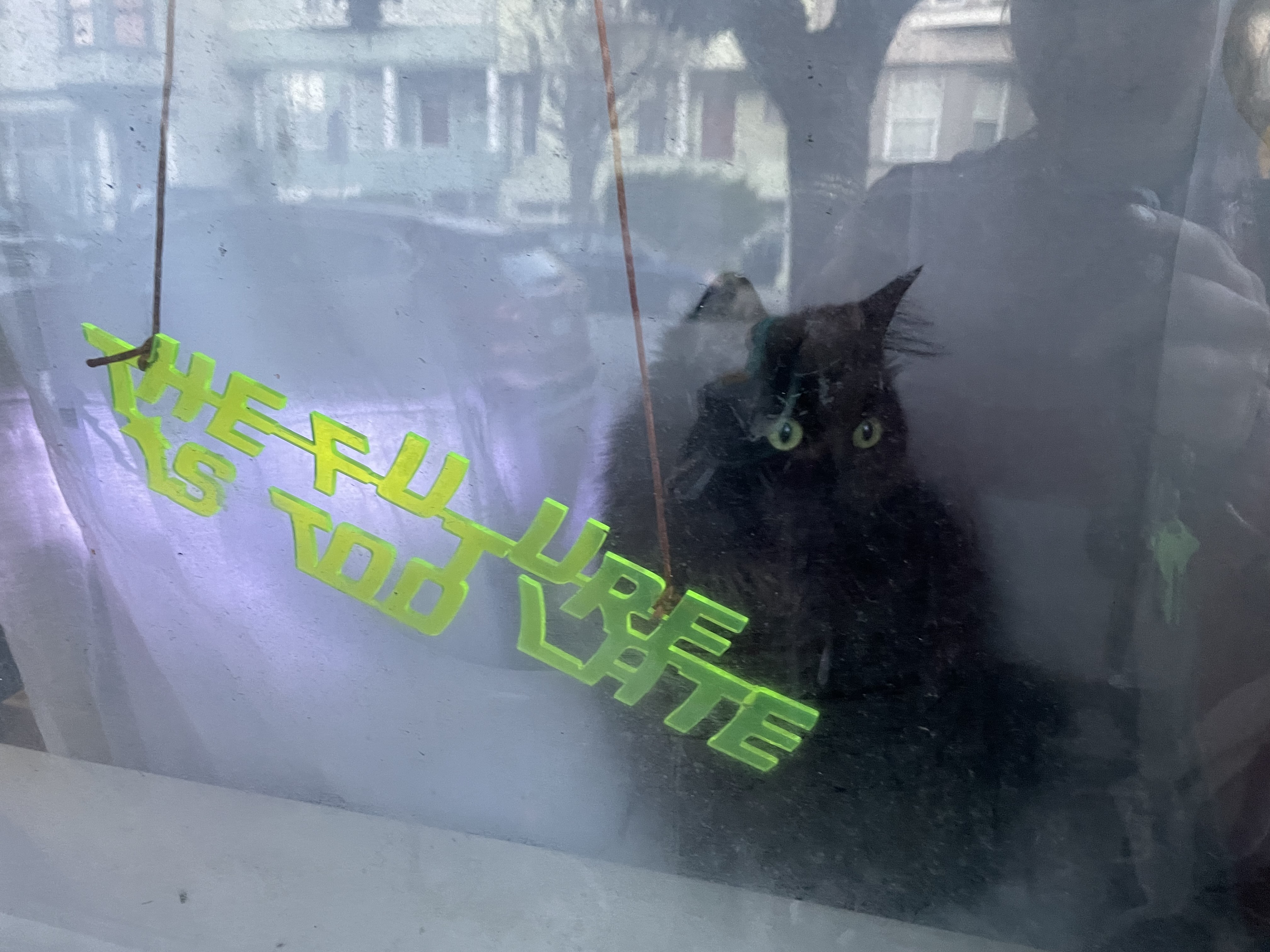 cat in window with "The Future is Too Late" pendant